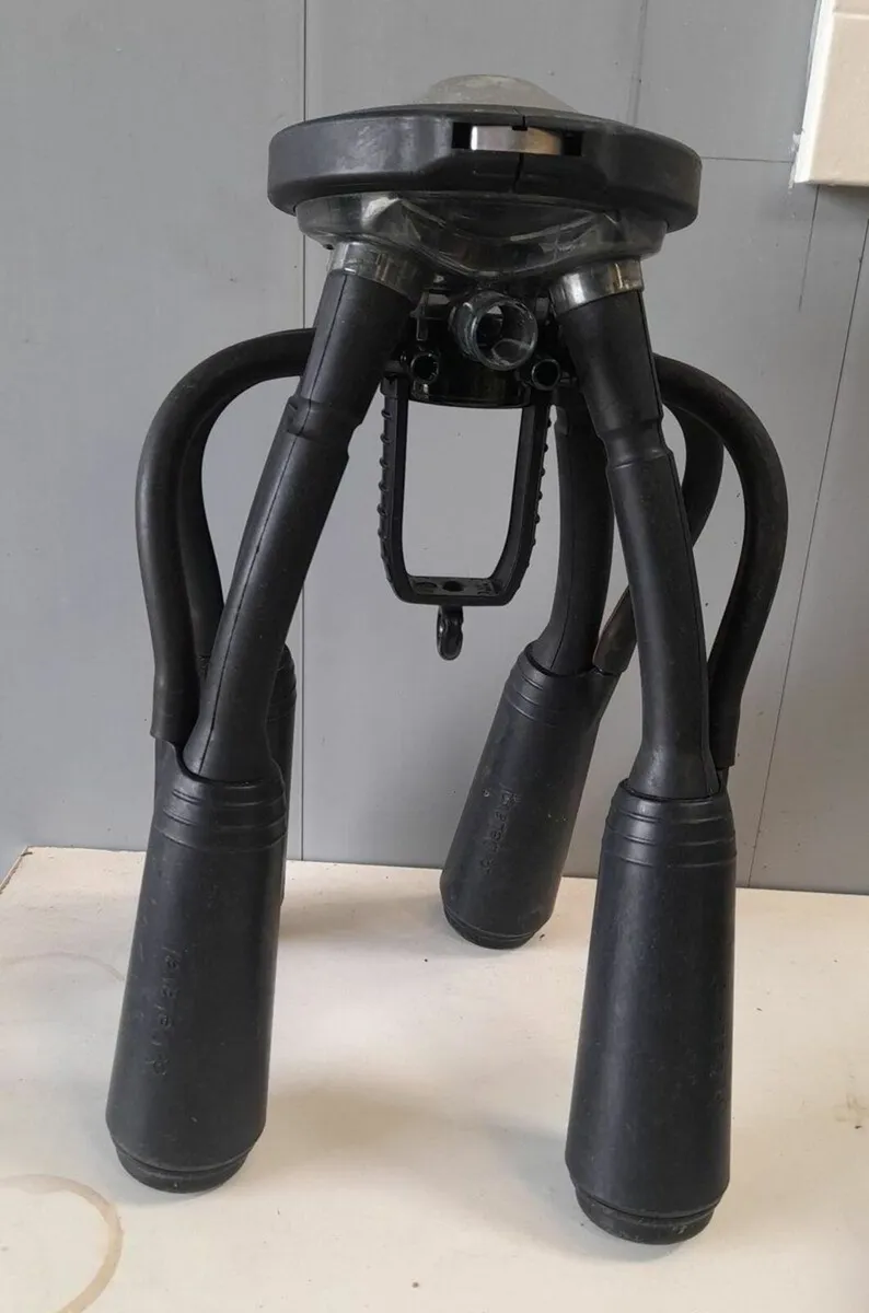 Delaval Evanza Cluster