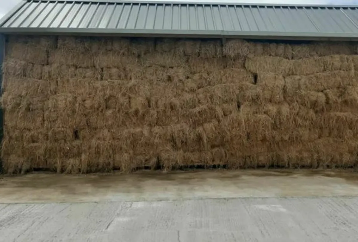 Square Bales of Hay