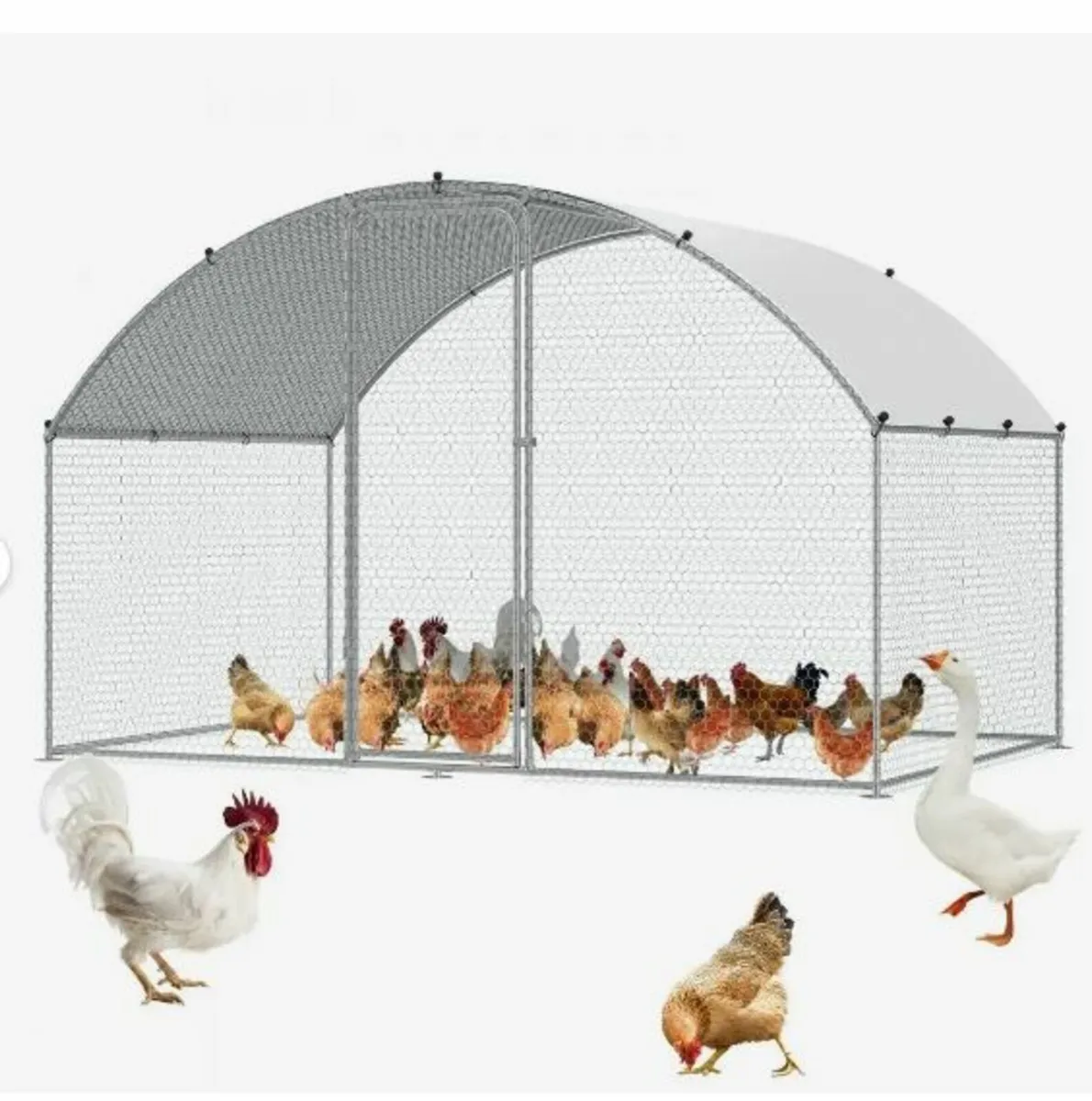 Chicken Coop, 3x1.97x1.99 m - Image 1