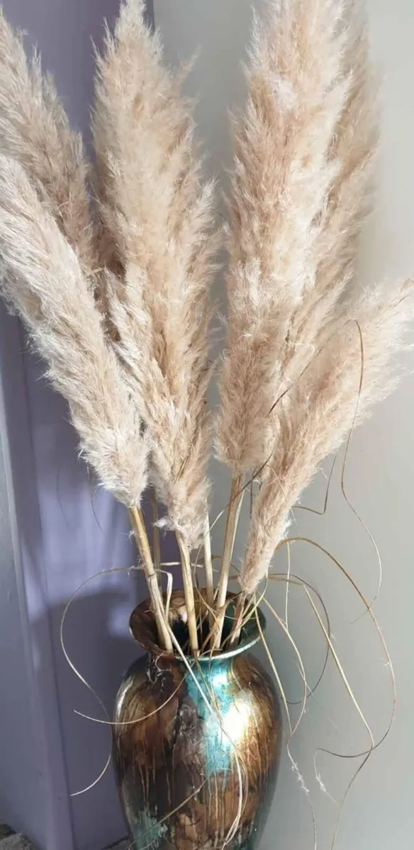 Dried Pamper Grass - Image 2