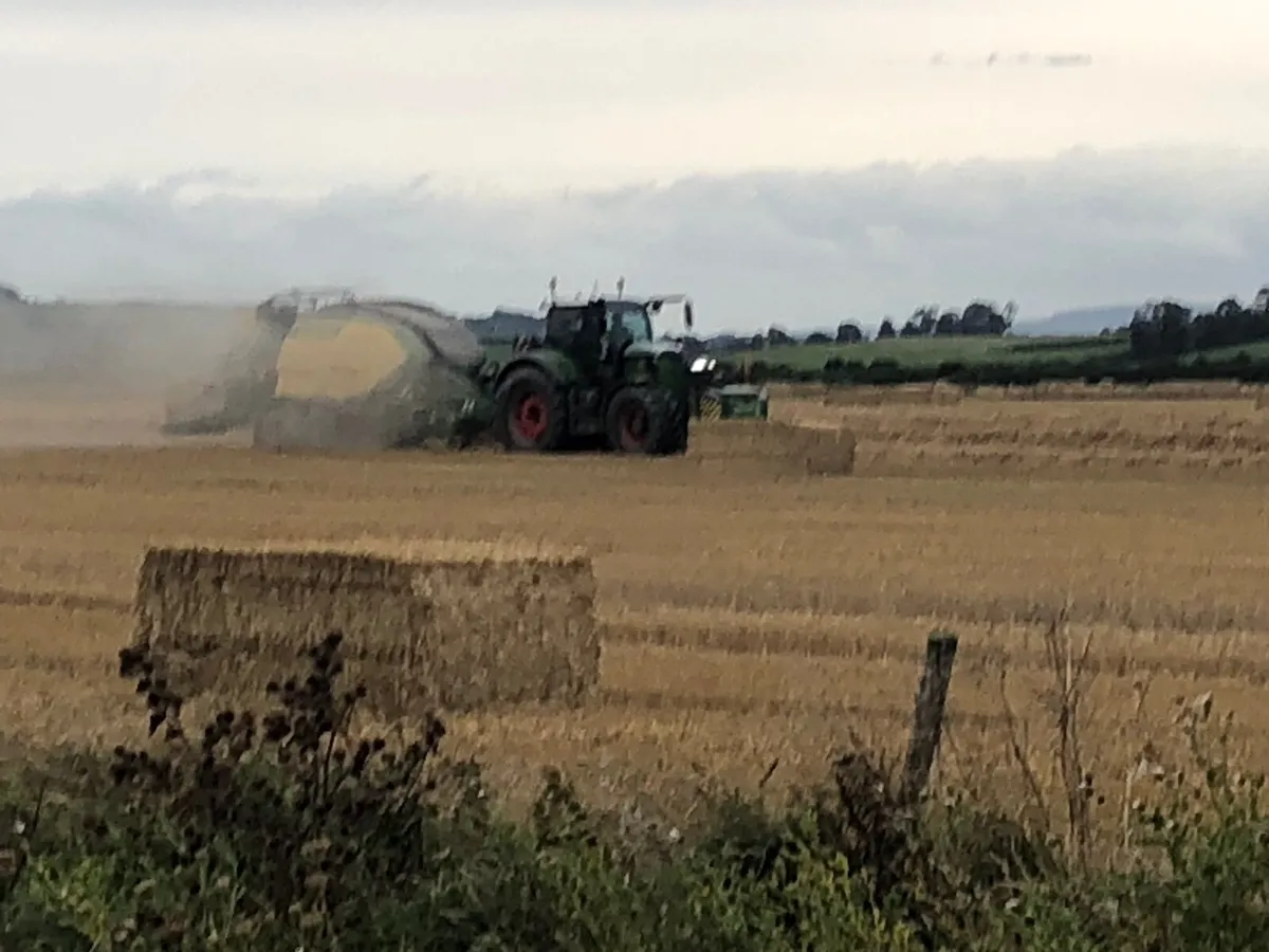 Large square bales of Straw - Image 1