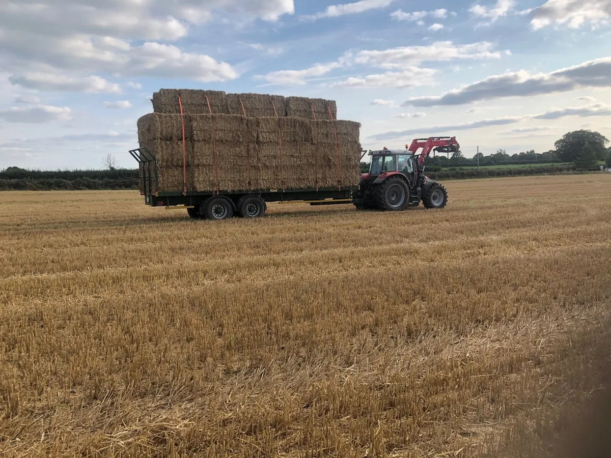 Large square bales of Straw - Image 3