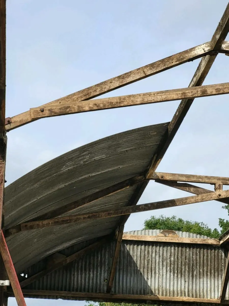 Shed - Image 2