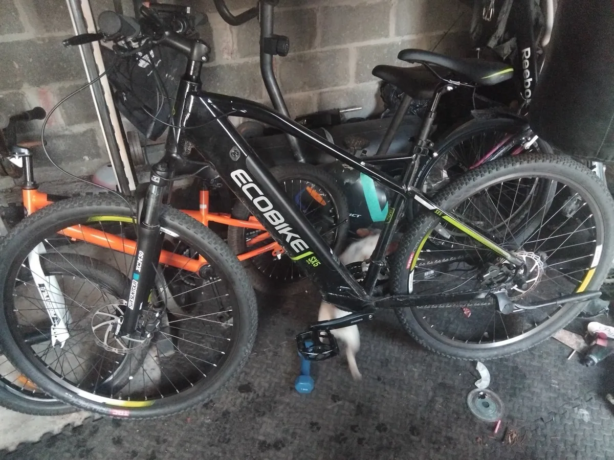 E bike Mtb sx5 - Image 1