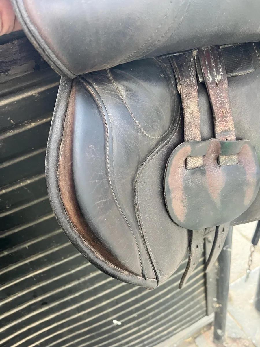 Berney Saddle 16 inch - Image 3
