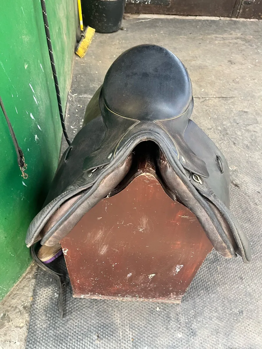 Berney Saddle 16 inch - Image 4