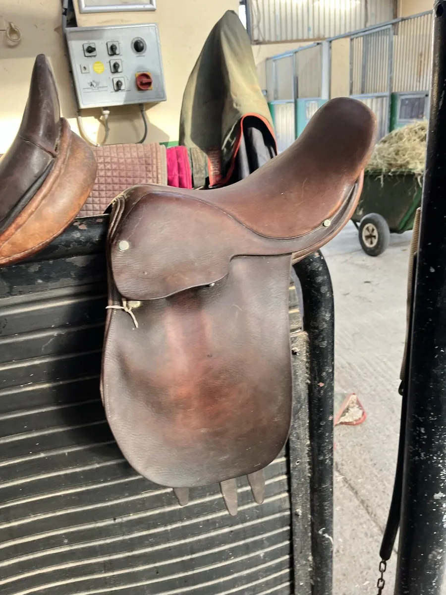 Kids show saddle - Image 1