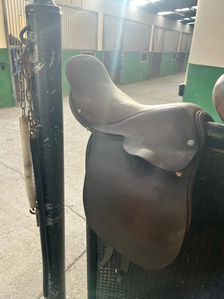 Kids show saddle - Image 2