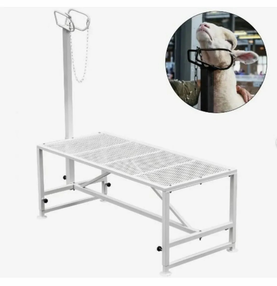 Livestock Stand 51x23 inches - Image 1