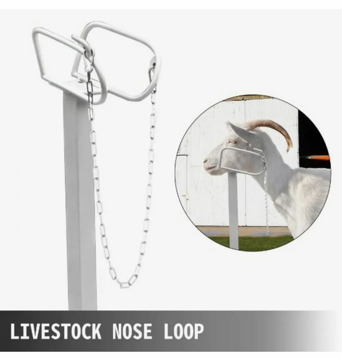 Livestock Stand 51x23 inches - Image 4
