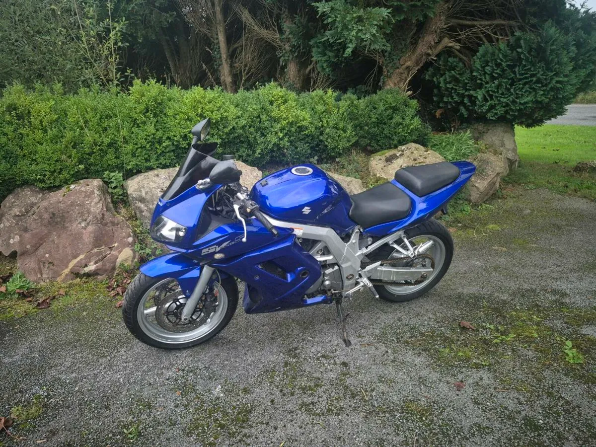 Sv650 - Image 2