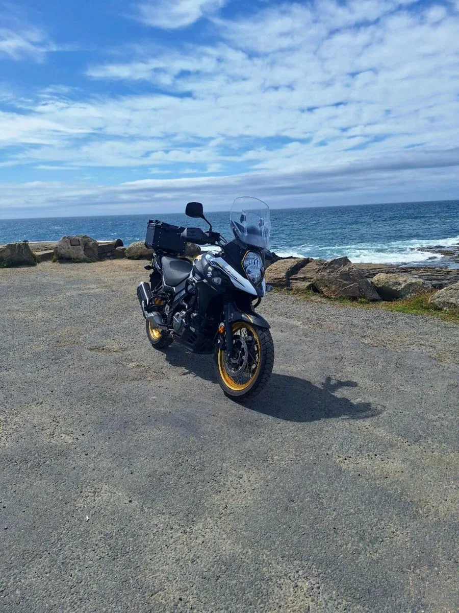 Suzuki v strom - Image 2
