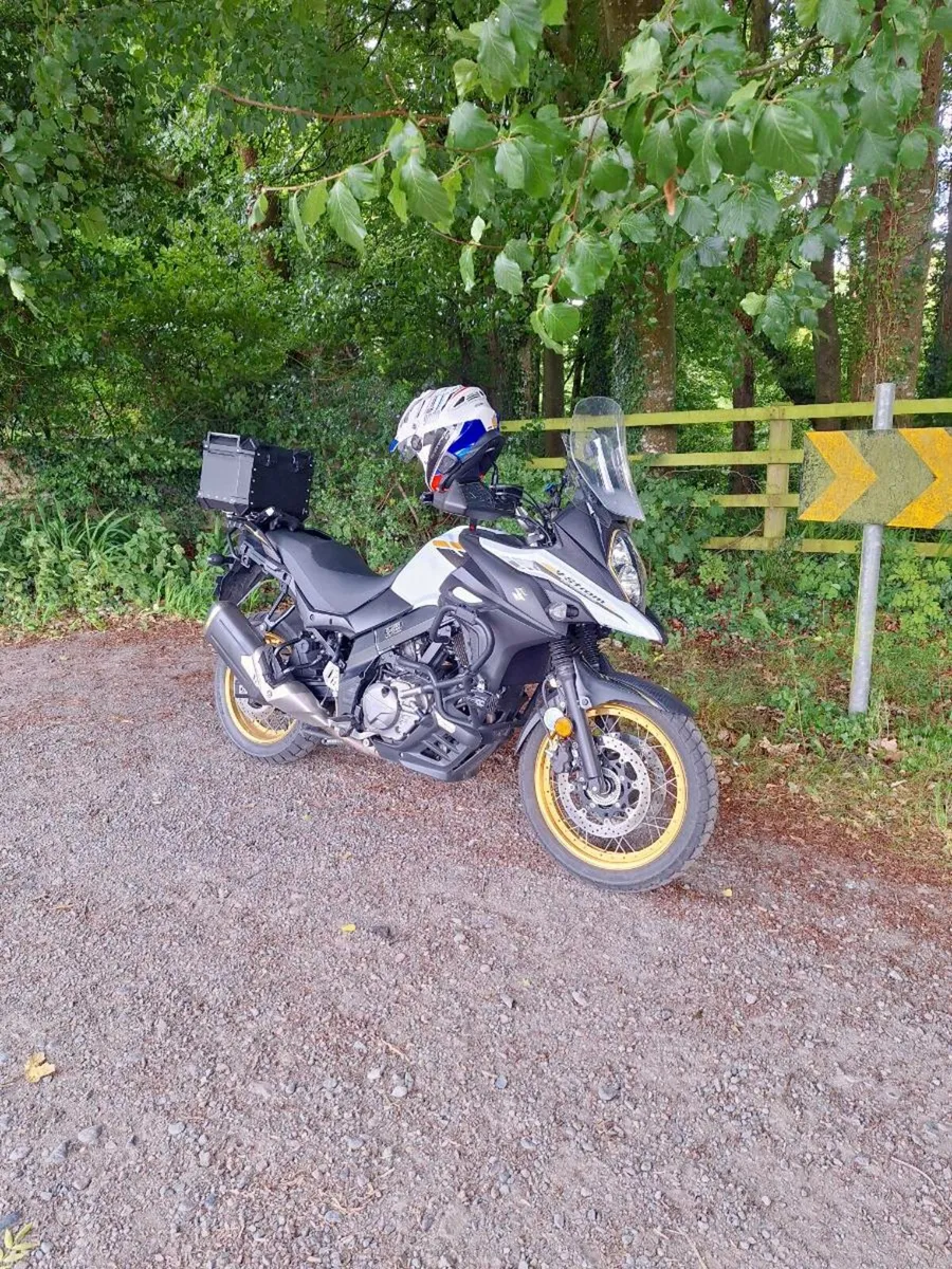 Suzuki v strom - Image 4
