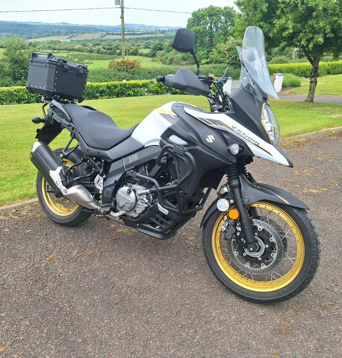 Suzuki v strom - Image 1