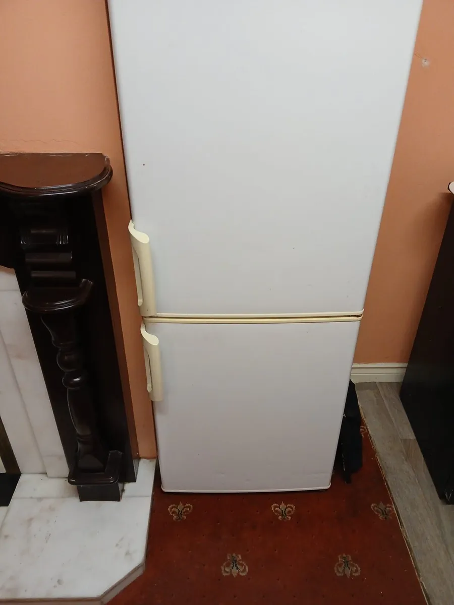 Fridge Freezer - Image 1