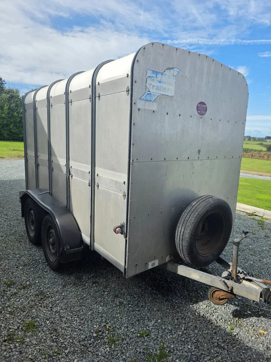 10x5 ifor Williams livestock trailer - Image 1