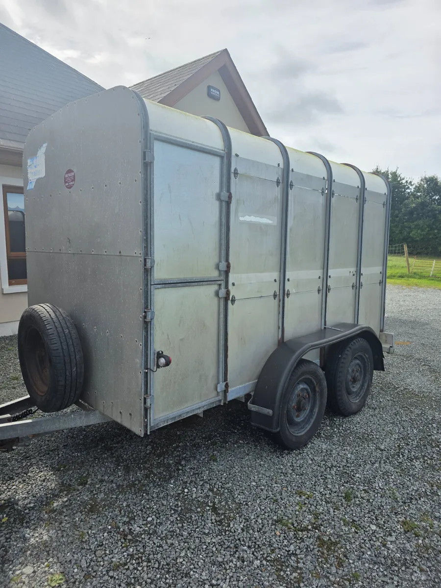 10x5 ifor Williams livestock trailer - Image 2