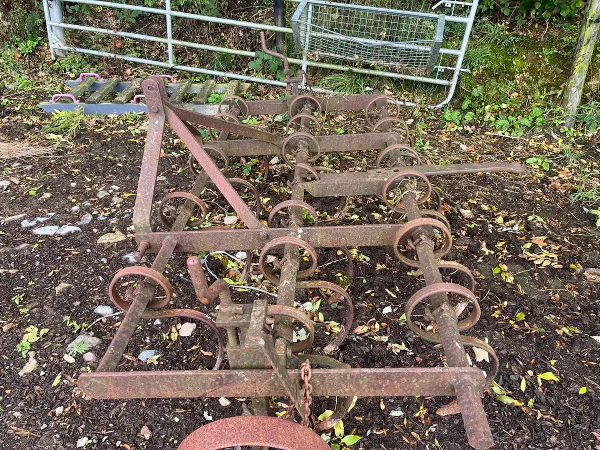 Spring Tine Harrow - Image 1
