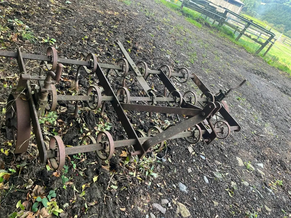 Spring Tine Harrow - Image 3