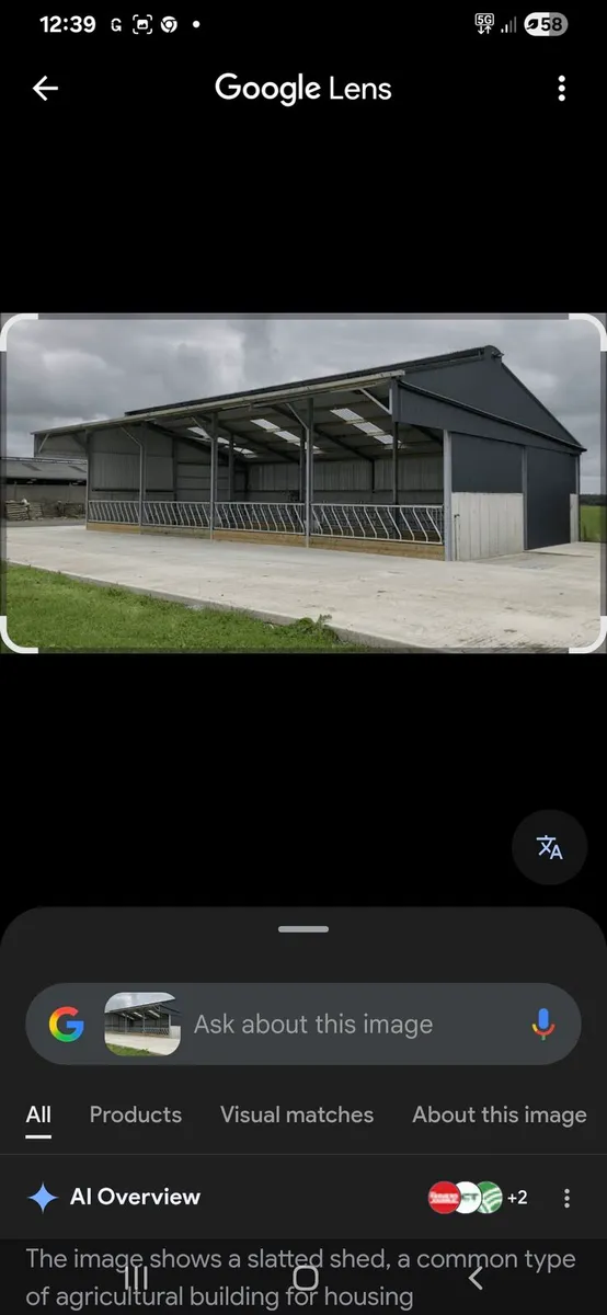 TO LET. SLATTED UNIT 4 SPAN + 40 CUBICLES & FODDER