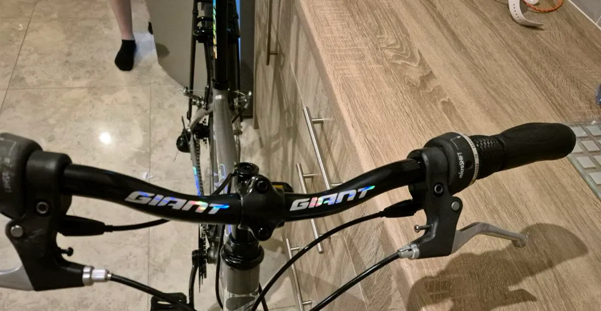 Adults Giant Escape 2 hybrid bike 20 inch frame - Image 2