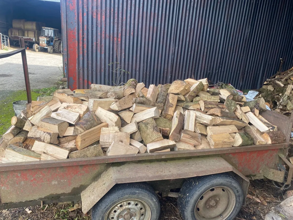 Firewood for Sale - Image 2