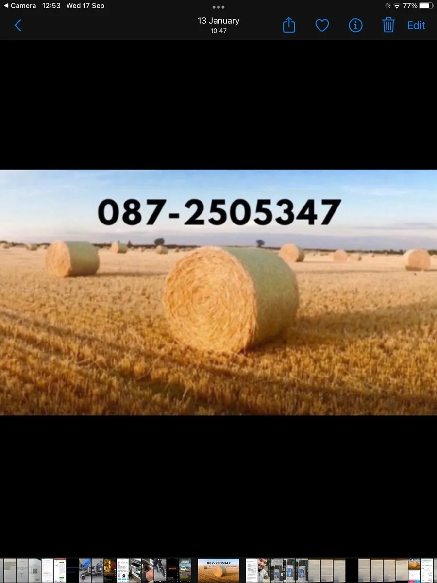 4/4 BARLEY STRAW