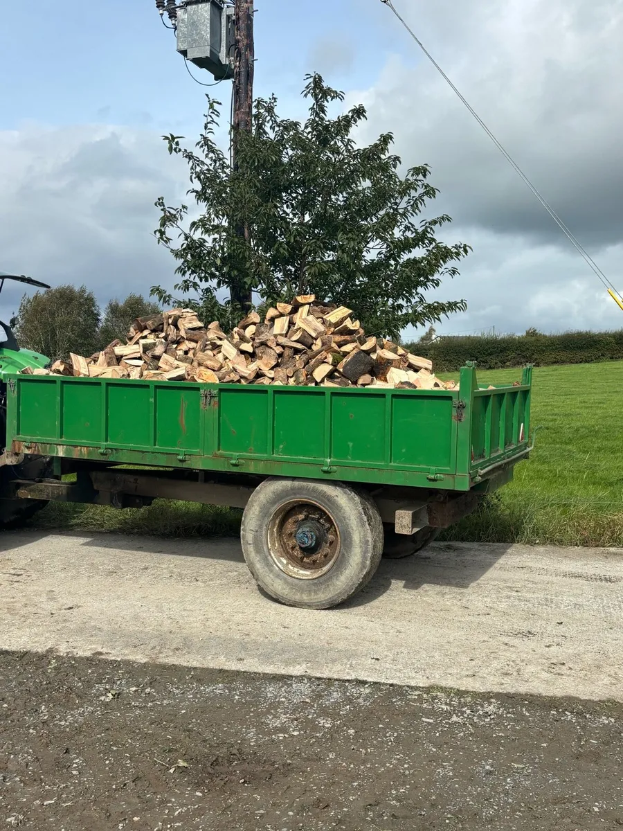 Firewood - Image 1