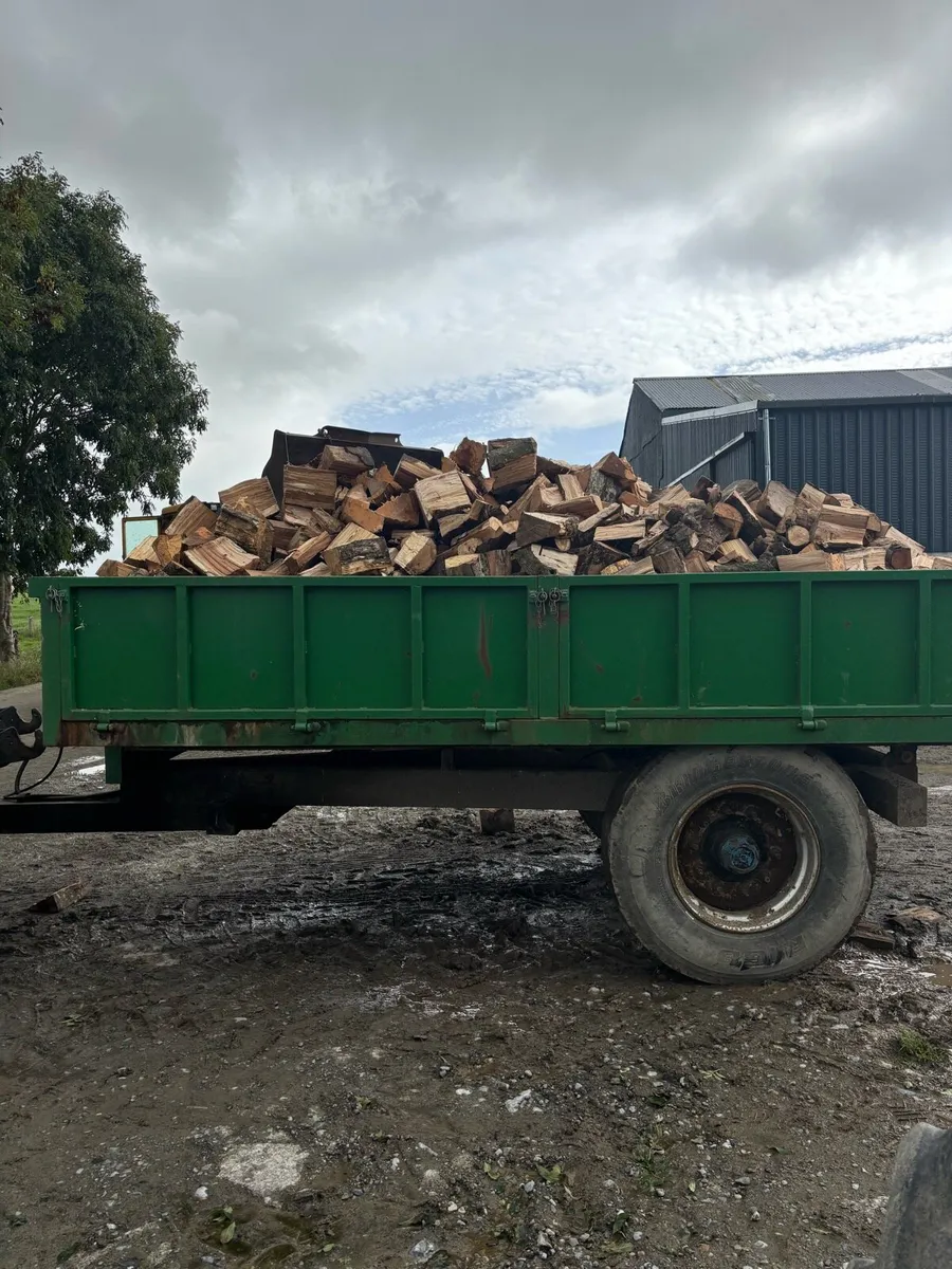 Firewood - Image 2