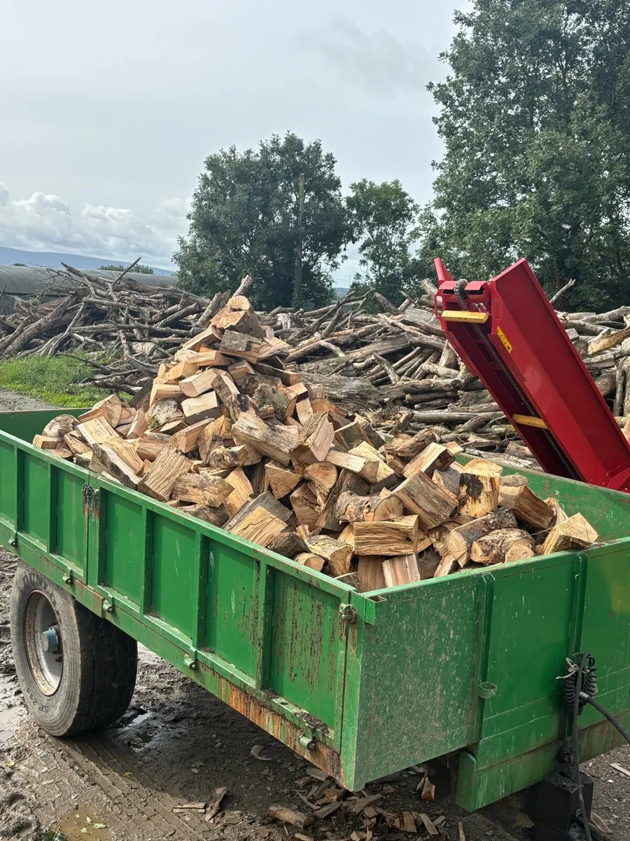 Firewood - Image 3