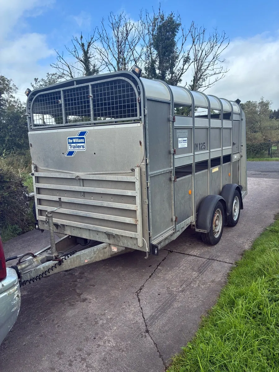 Ifor Williams Cattle / sheep Trailer - Image 1