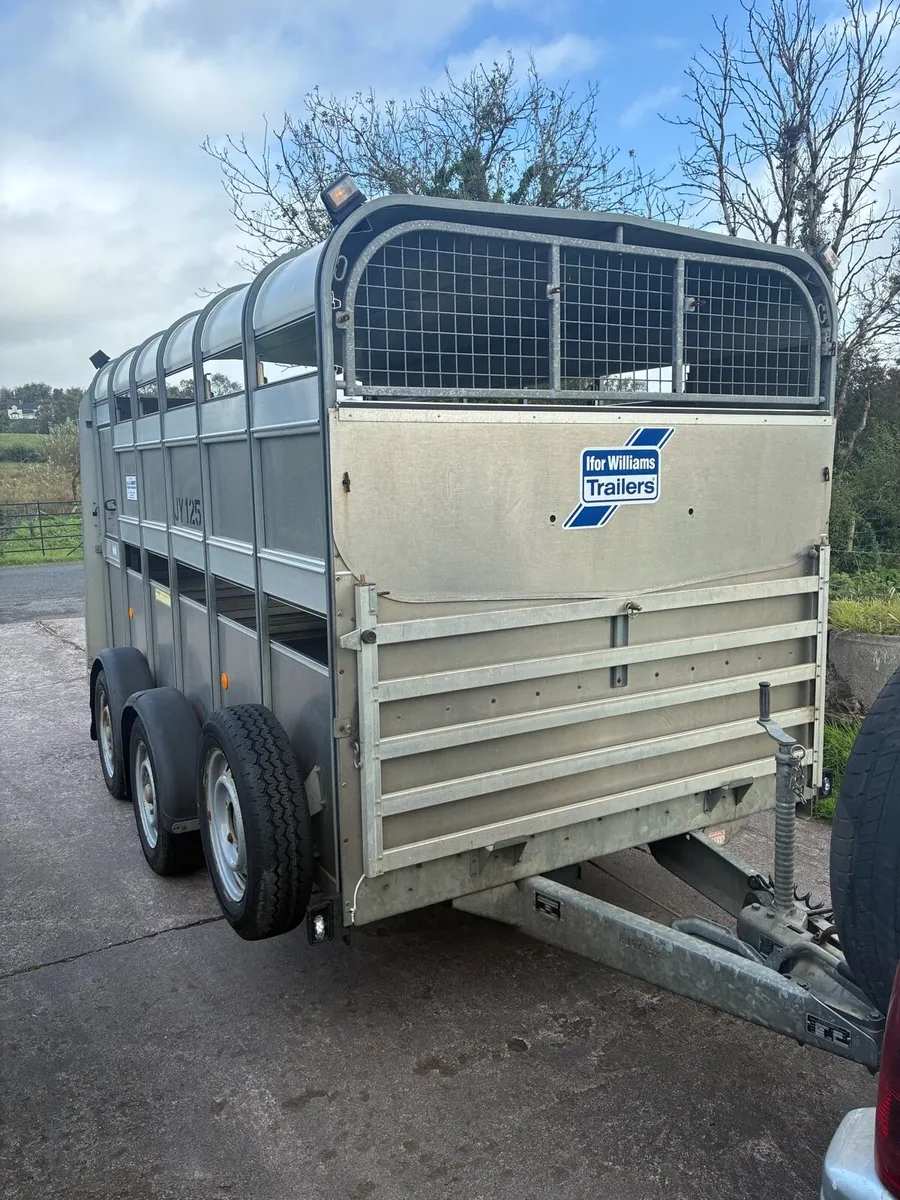 Ifor Williams Cattle / sheep Trailer - Image 2