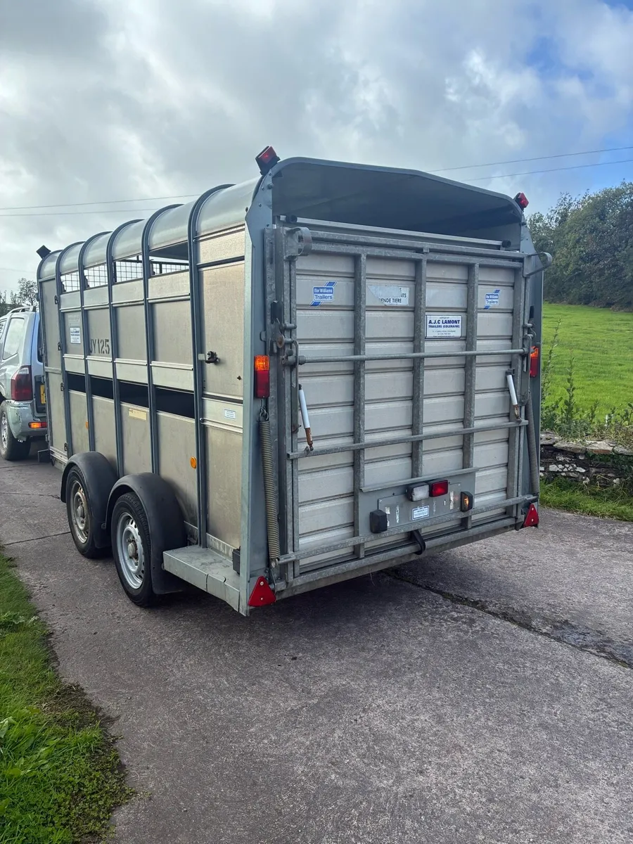 Ifor Williams Cattle / sheep Trailer - Image 3