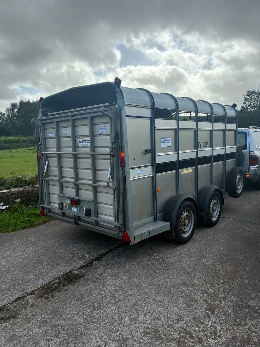 Ifor Williams Cattle / sheep Trailer - Image 4