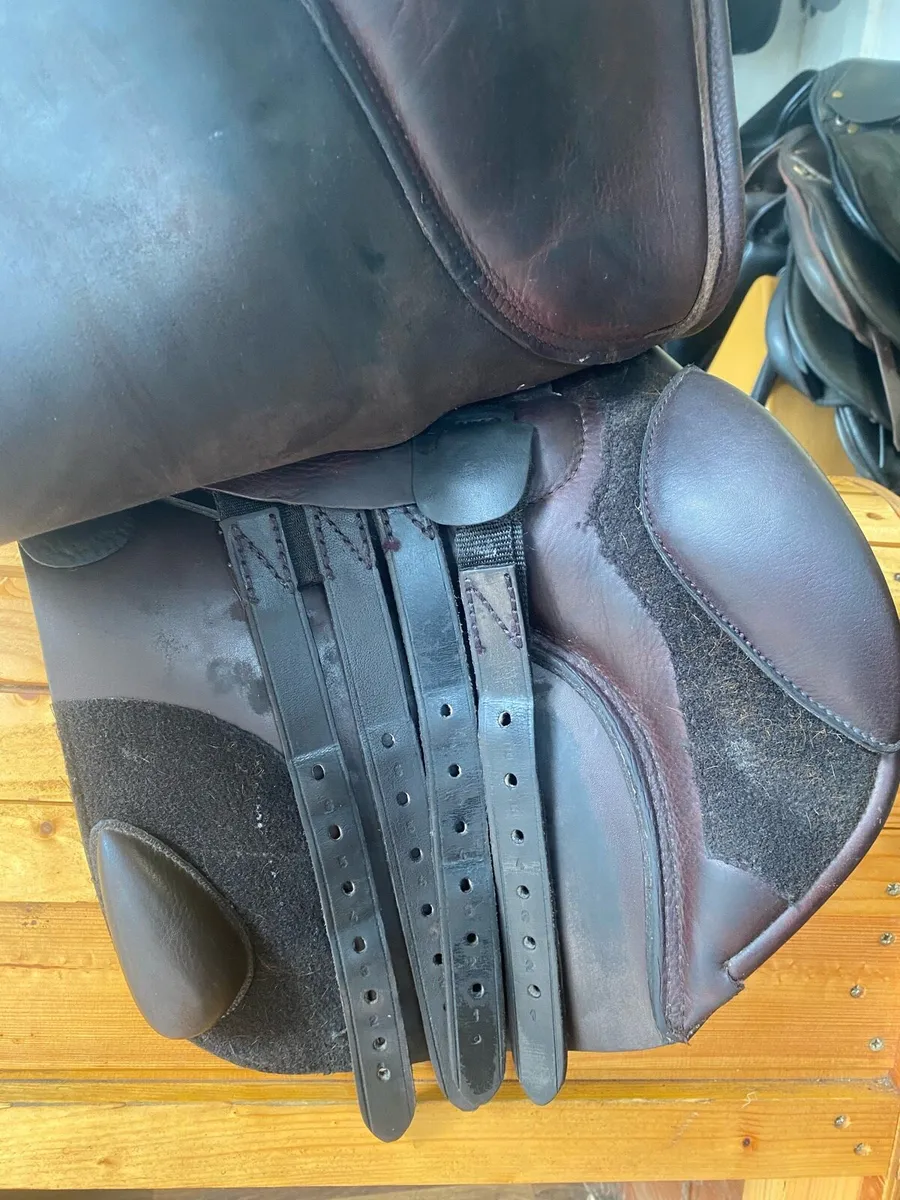 18” St Raphael brown leather jumping saddle - Image 3