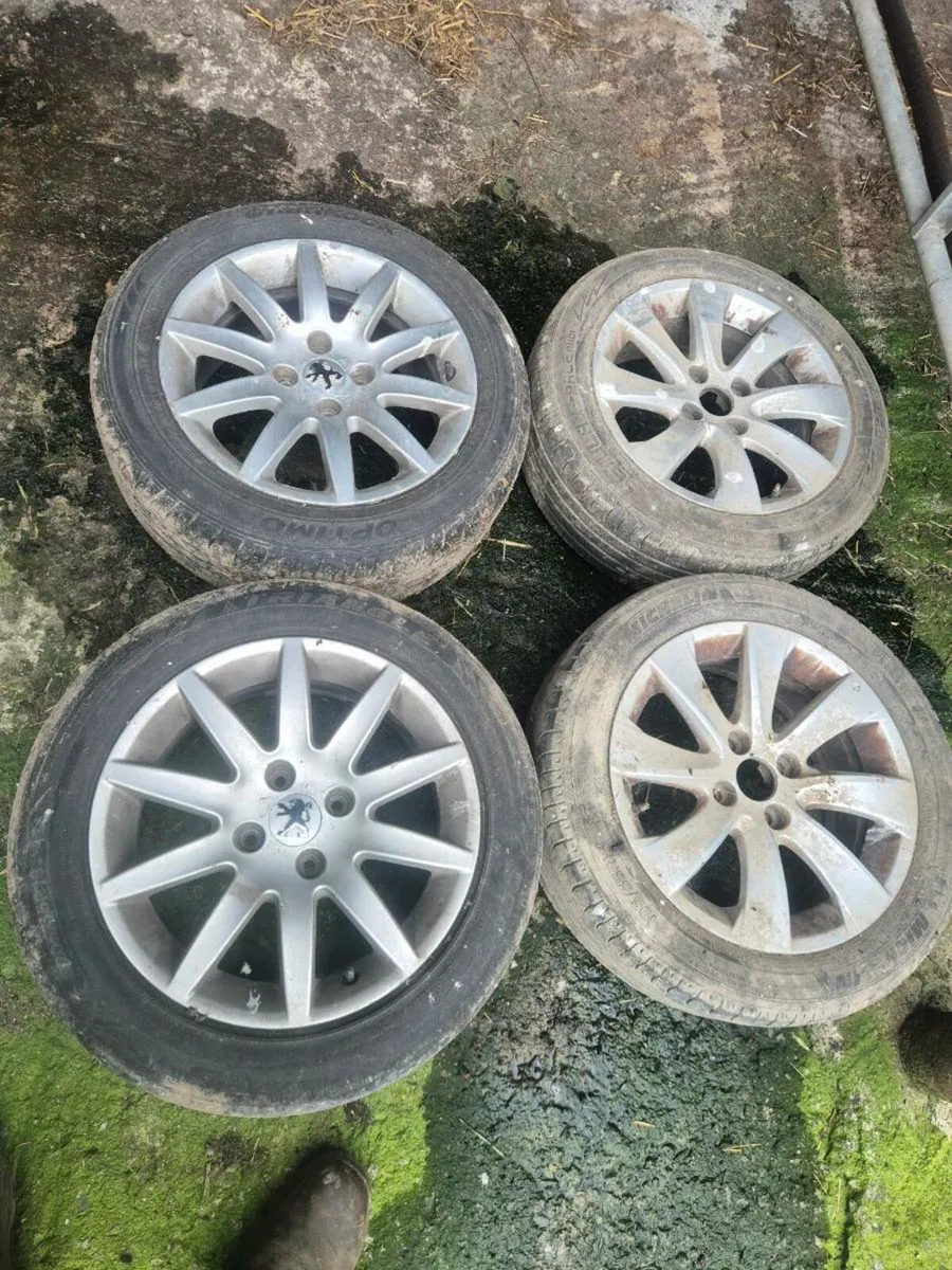 Alloys - Image 3