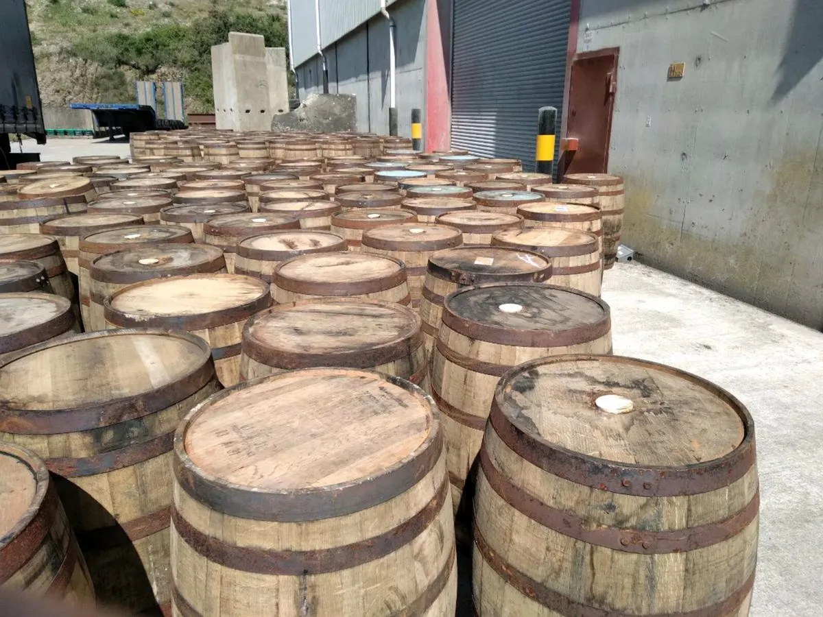 Whiskey barrels - Image 4