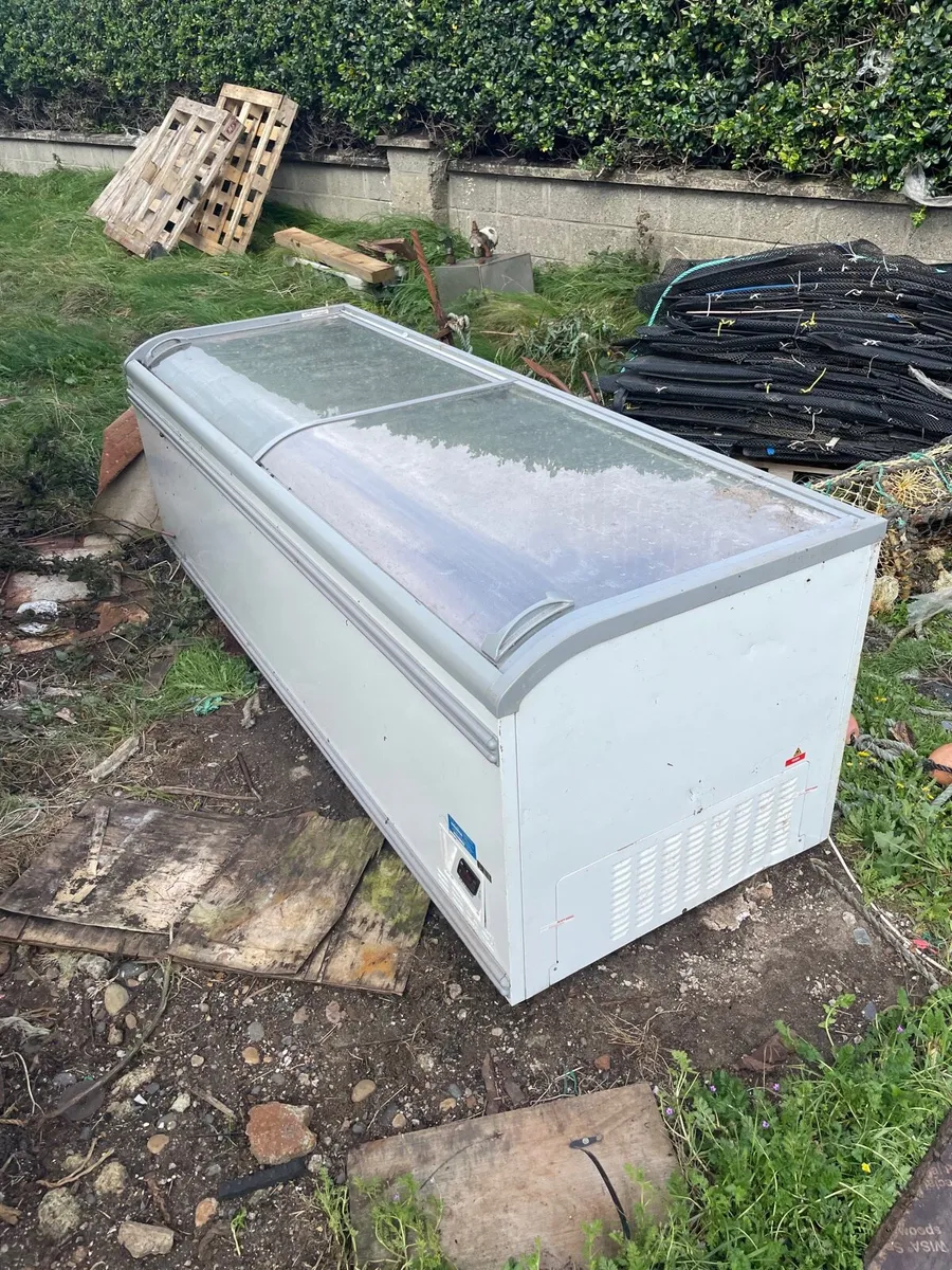 Freezer - Image 3