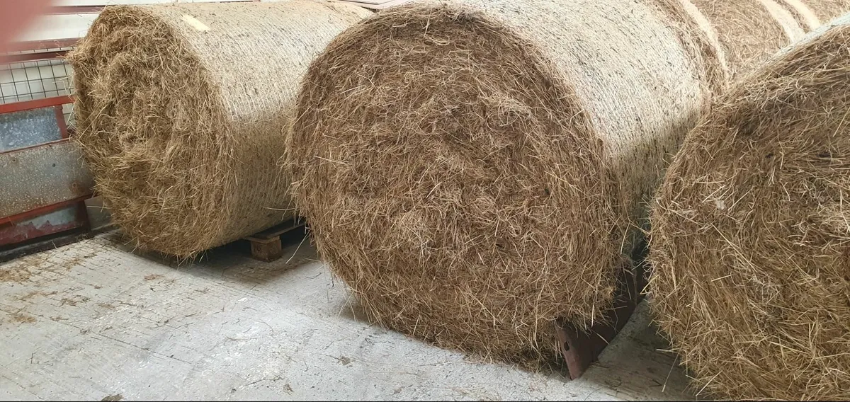 Hay for sale - Image 1