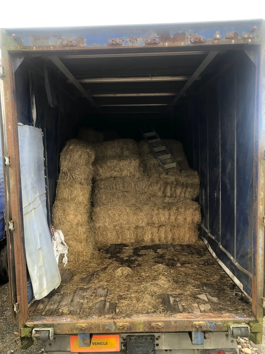 Hay
