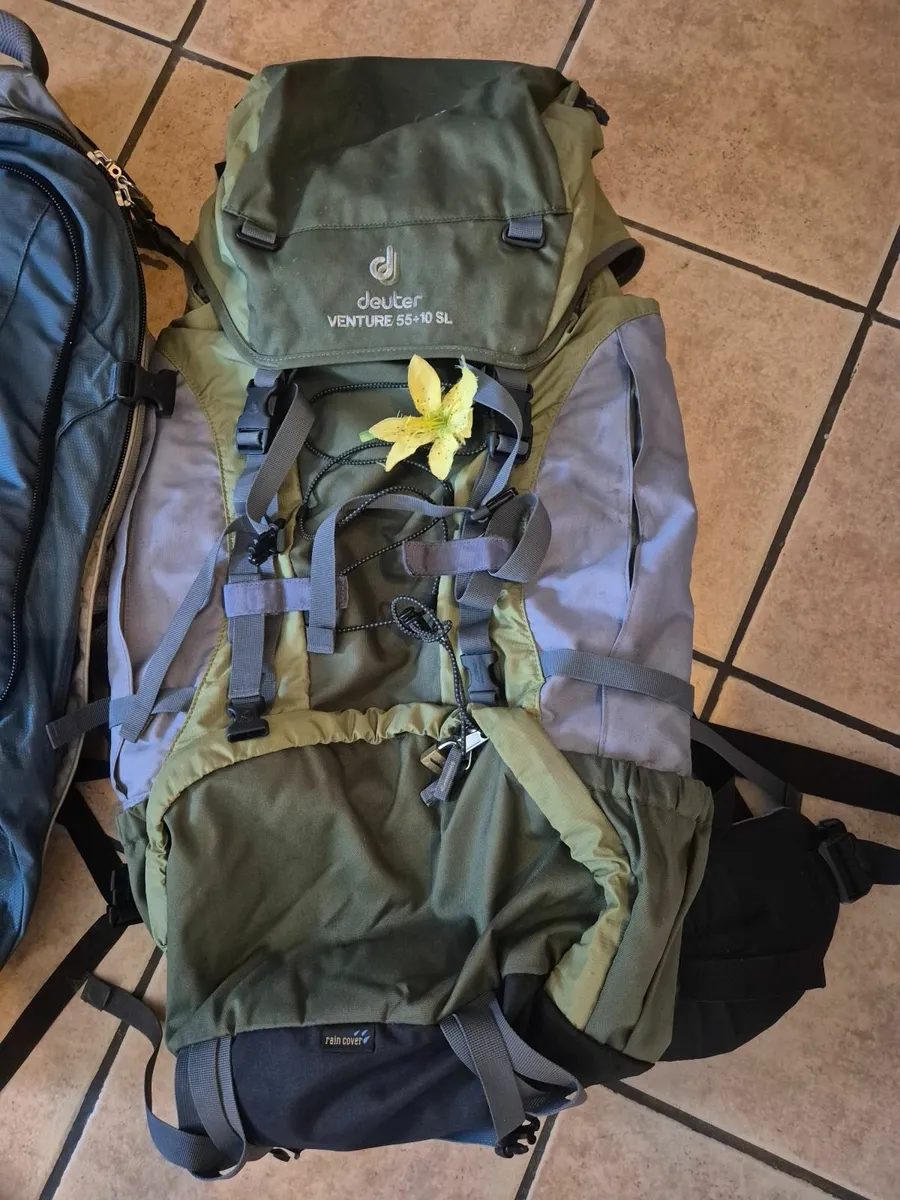 Deuter travel rucksack - Image 2