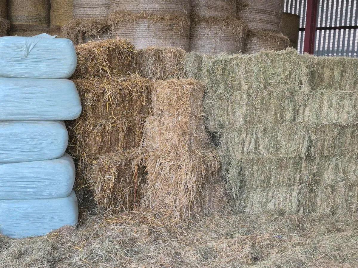 Top class Square bales of Hay ,Straw and Haylage - Image 1