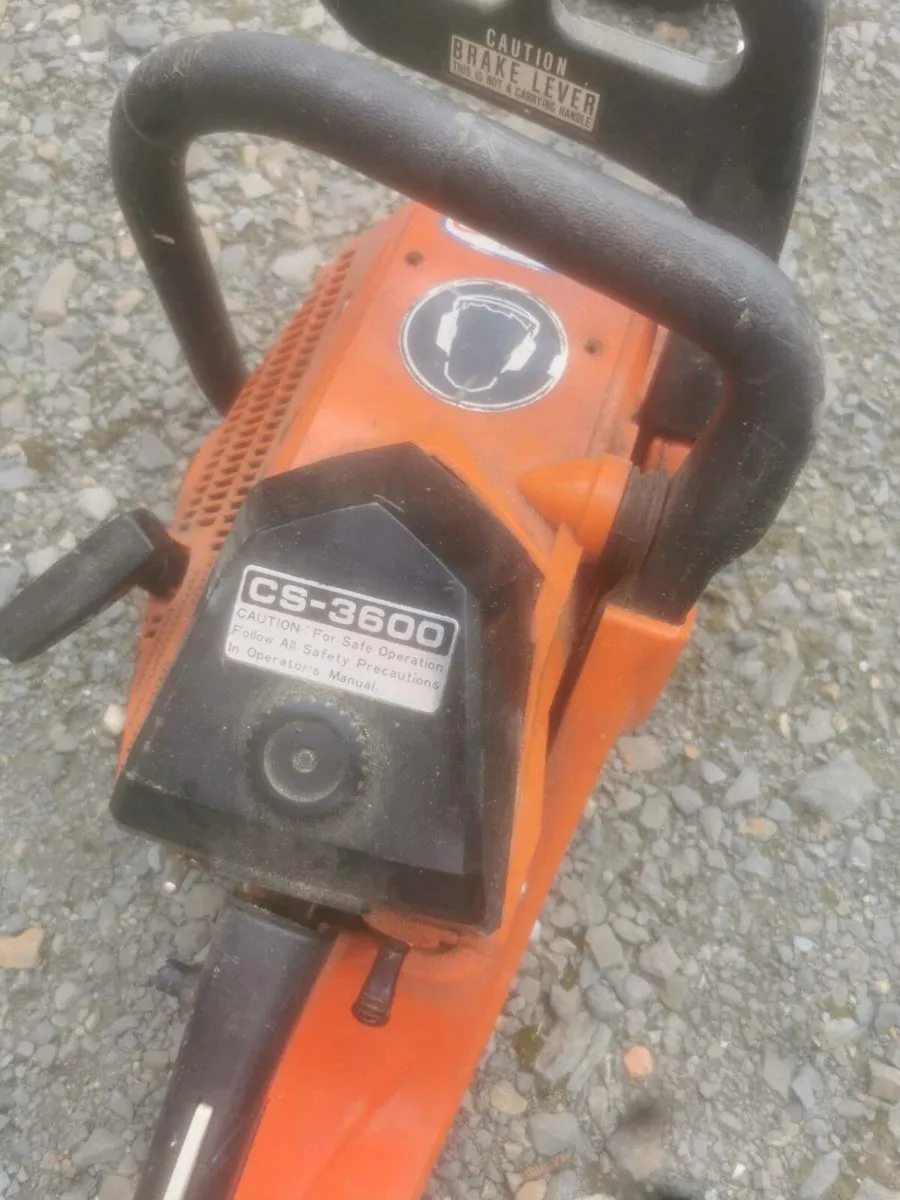 Chainsaw - Image 2