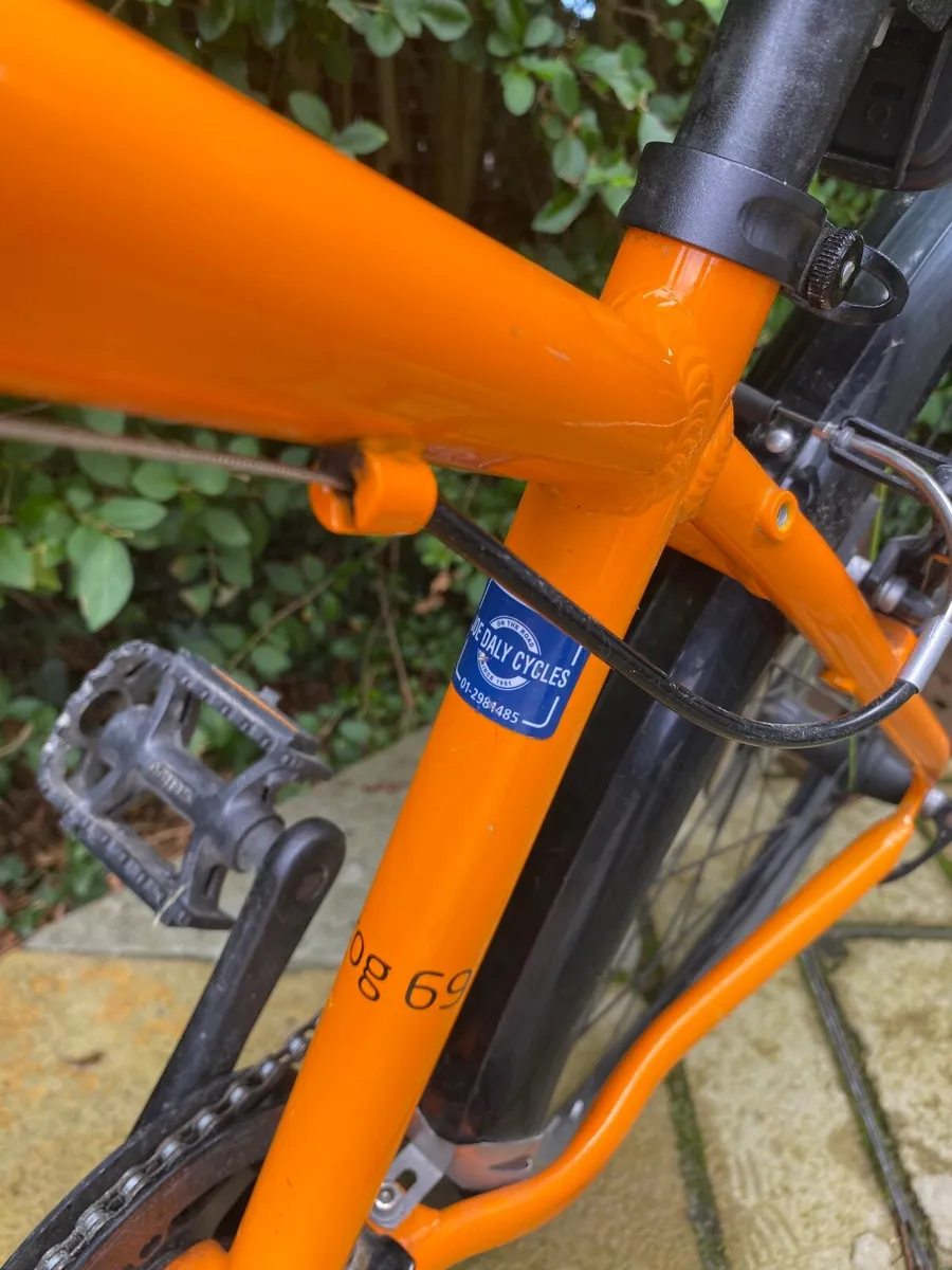Frog bike - Image 1