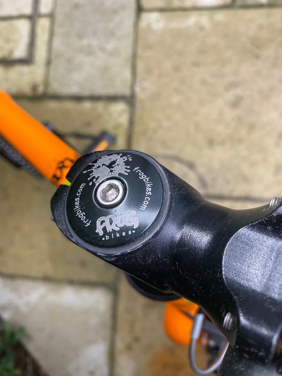 Frog bike - Image 2