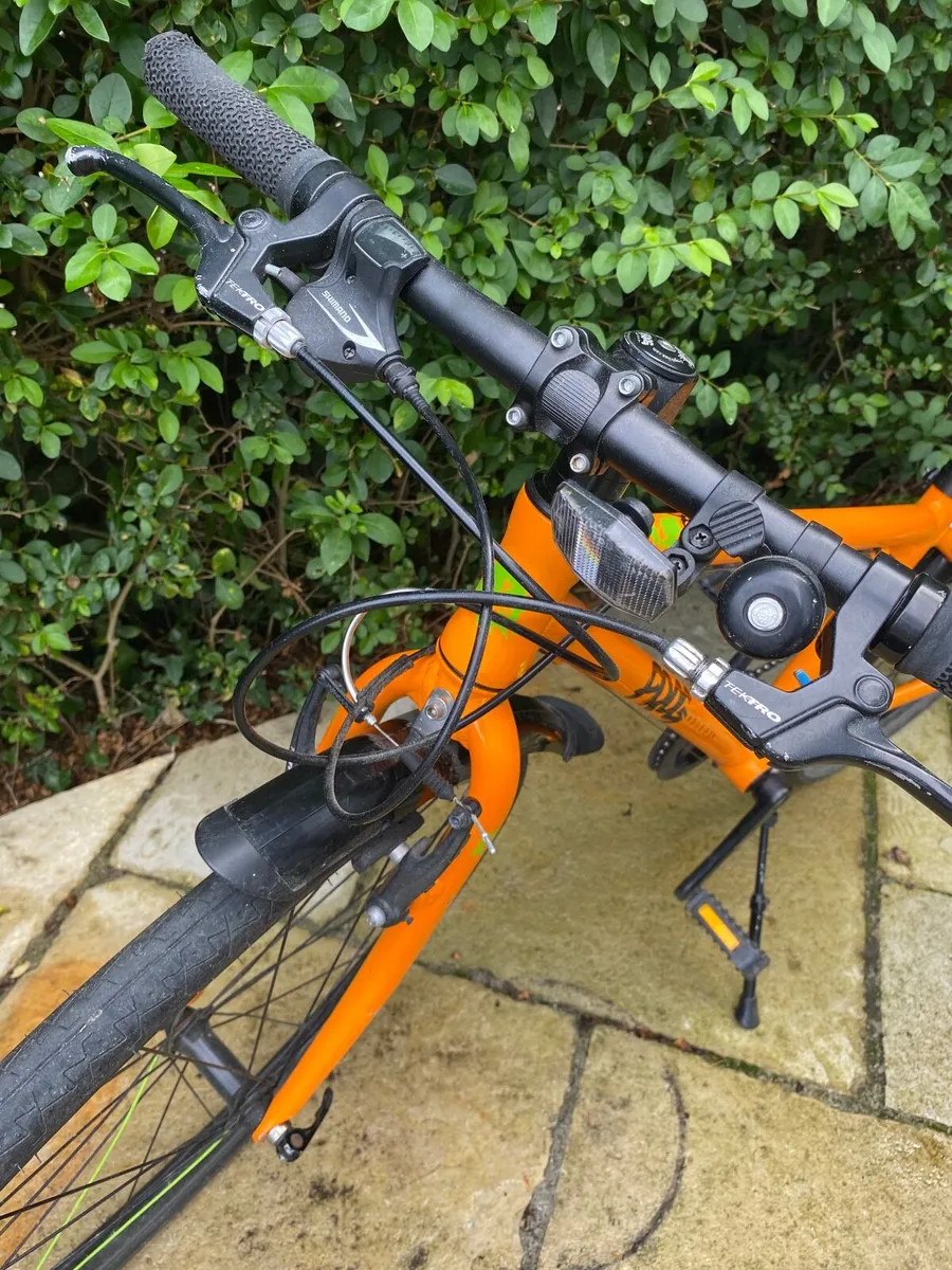 Frog bike - Image 3