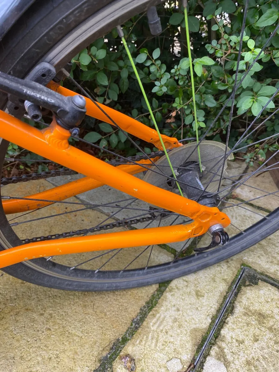 Frog bike - Image 4