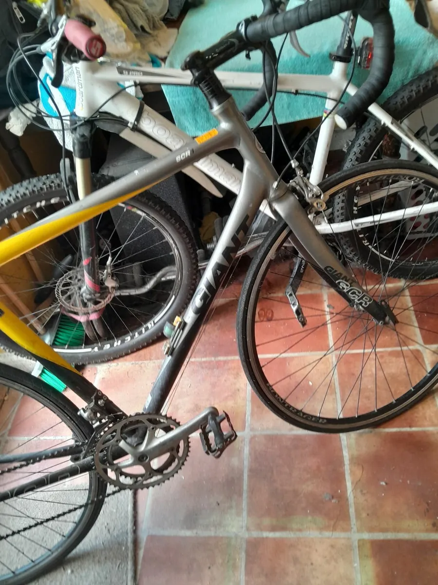 Giant racing/road bike