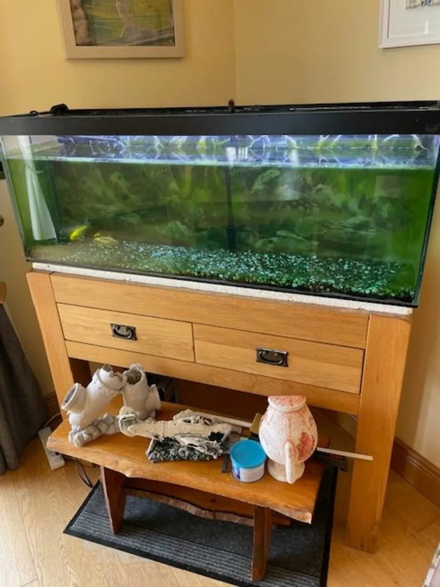 Fish Tank with filter - Image 1