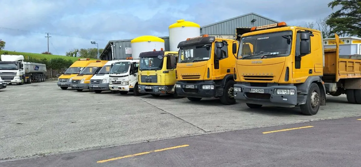 Skibbereen Mart  Auction 20th of September 12noon - Image 1